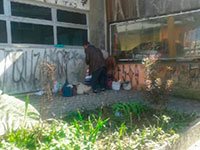 Rondas – Apoio a Pessoas em Situação de Rua